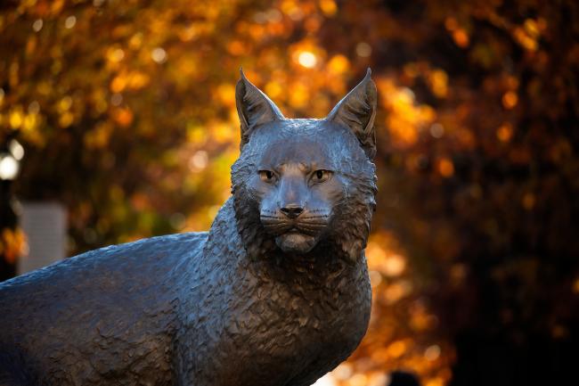 Bowman in Fall