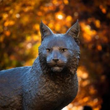 Bowman in Fall
